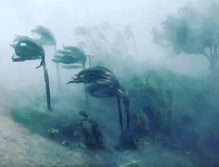 La enorme fuerza de los vientos huracanados de IRMA en Florida
